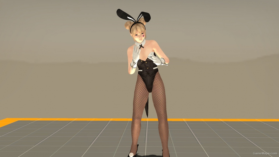 DOA5 - Marie Rose（Common Infected）