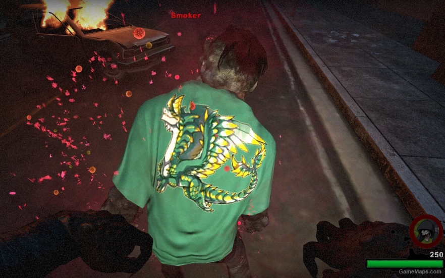Dragons Prophet whispering wind jacket for smoker