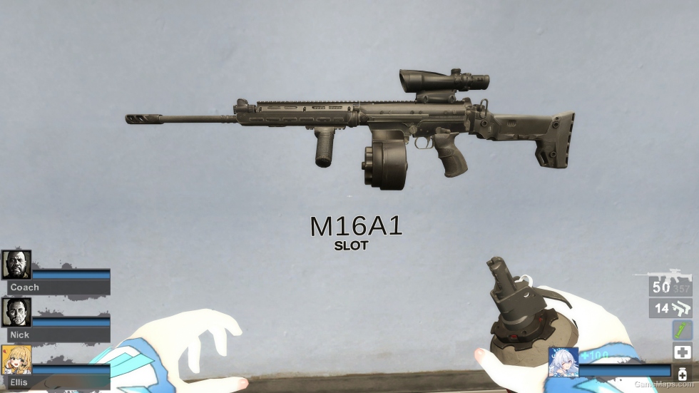 EFTSA58 (M16A2) [request]