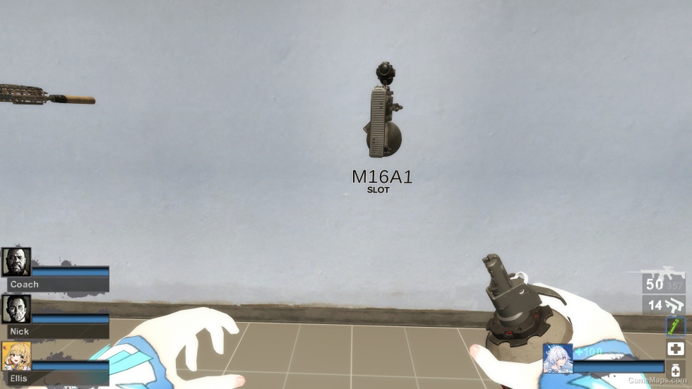 EFTSA58 (M16A2) [request]