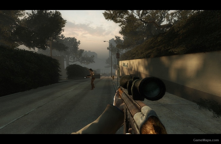 Fallout 3 Assault Rifle (Military Sniper)