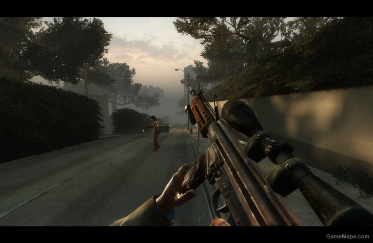 Fallout 3 Assault Rifle (Military Sniper)