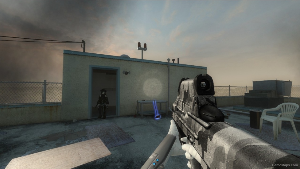 FN F2000 Winter Camo (SG552)