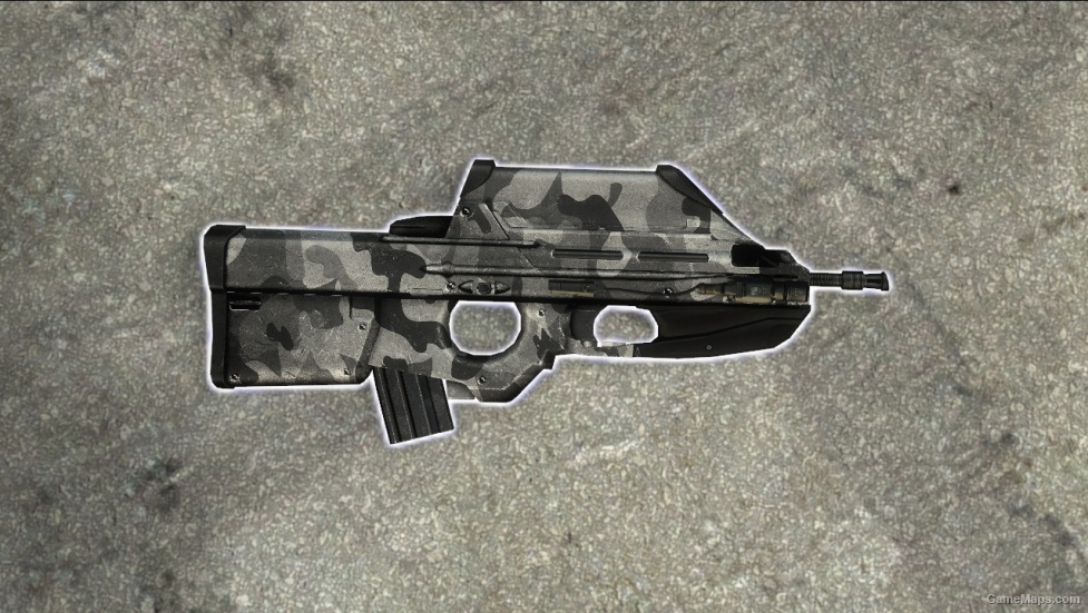 FN F2000 Winter Camo (SG552)