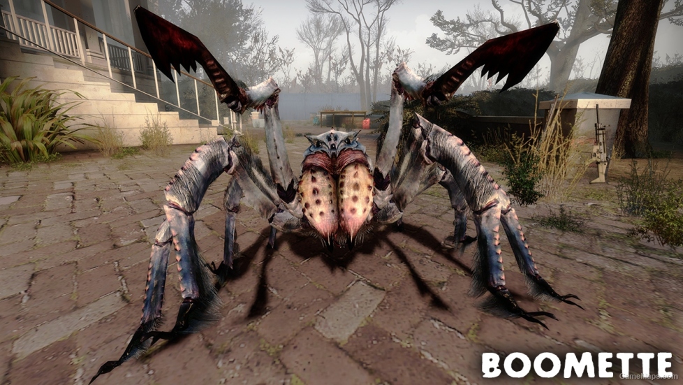 Frostbite Spider