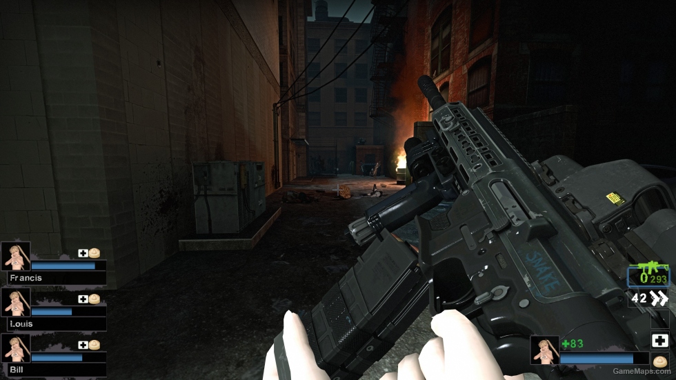 Gilboa Snake DBR Alternative (M16A2)
