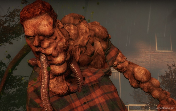 Ginger Plaid Smoker