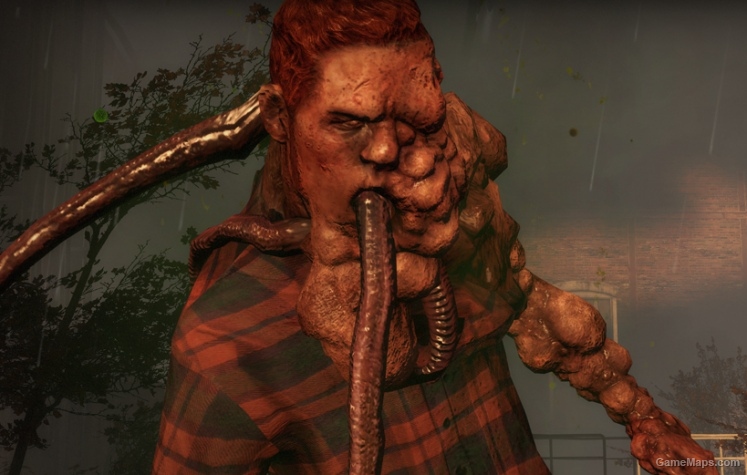 Ginger Plaid Smoker