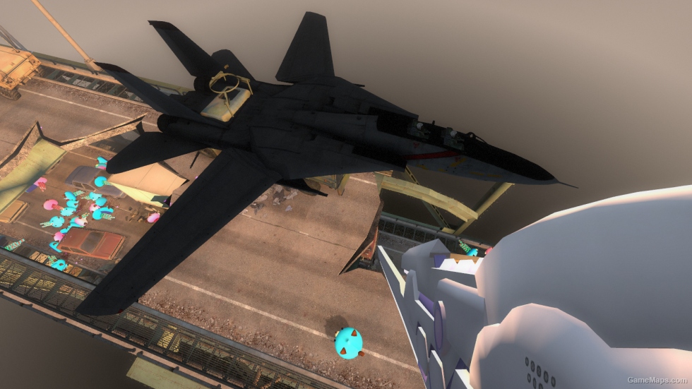 Grumman F-14 Tomcat