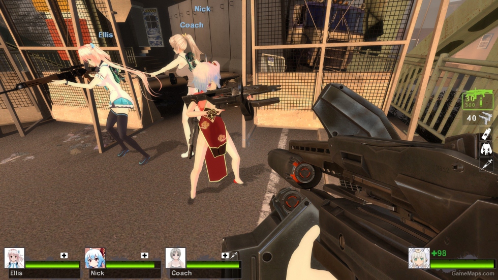 Half Life 2 - AR2 (AKM)
