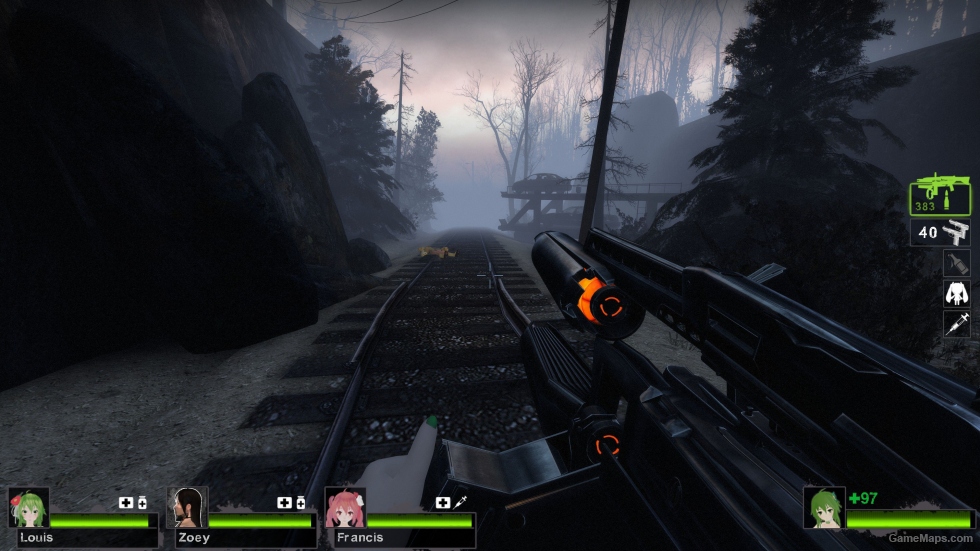 Half Life 2 - AR2 (AKM)