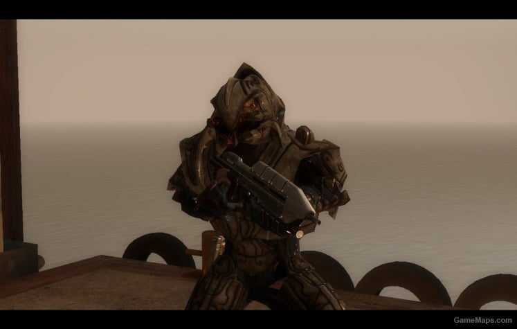 Halo 3 Arbiter-nick