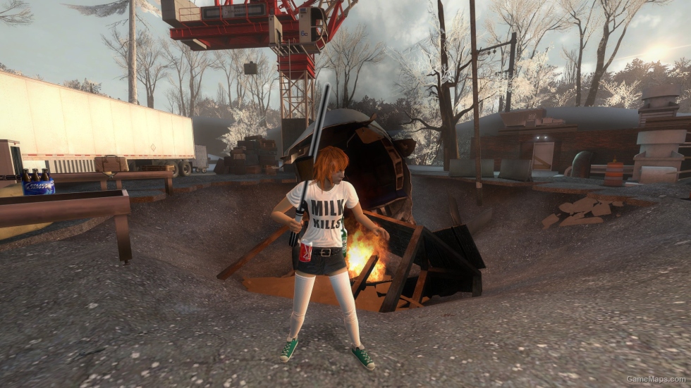 Hayley Williams Zoey (Fixed)