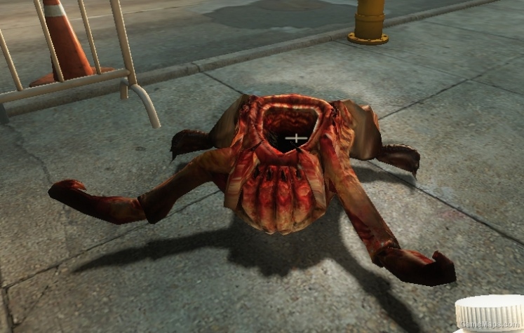 Headcrab (Jockey)