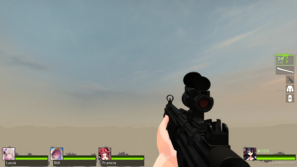 Heckler & Koch HK33A3SG (M16A2)