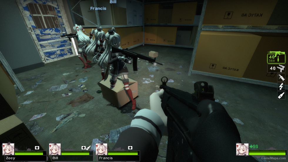 HK33 v4 (M16A2)