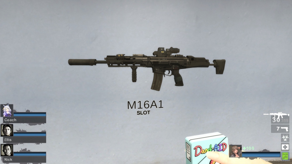 HK433 (M16A2)