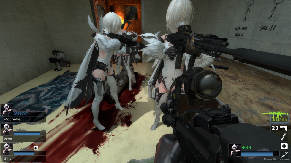 HK433 (M16A2)