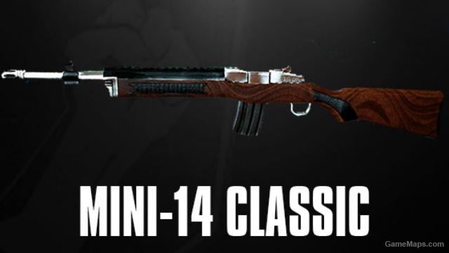 Insurgency AC556/MINI-14