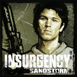 Insurgency: Sandstorm Survivors