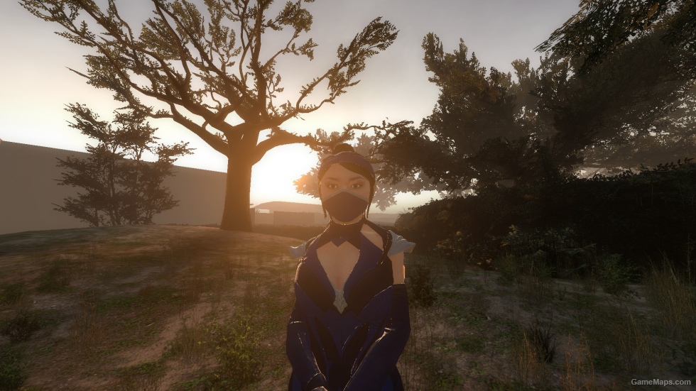 Kitana From Mortal Kombat 11