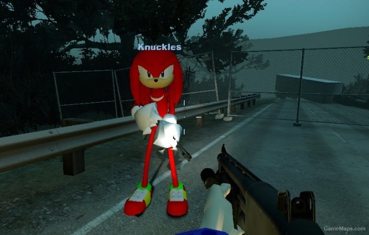 Knuckles the Echidna (Coach)