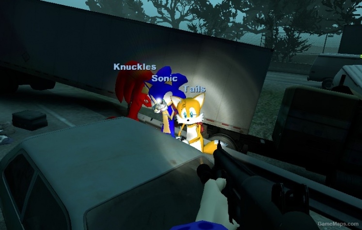 Knuckles the Echidna (Coach)