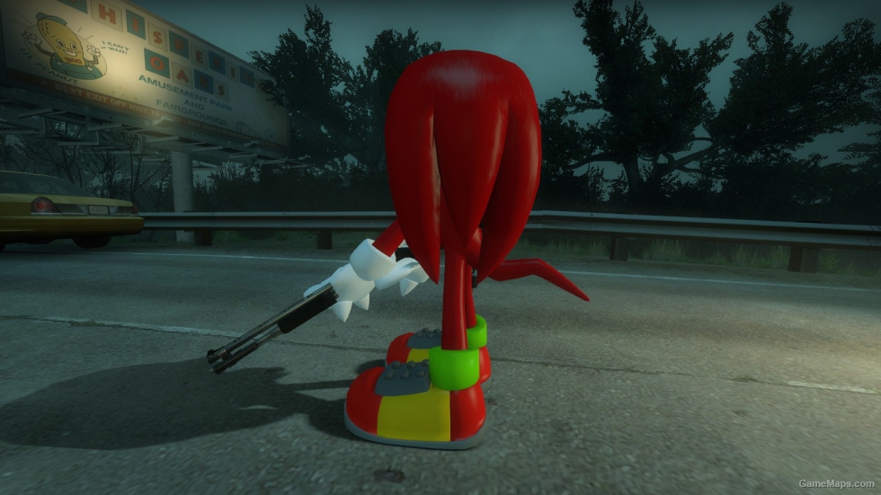 Knuckles the Echidna Survivor (Coach) [REMAKE]