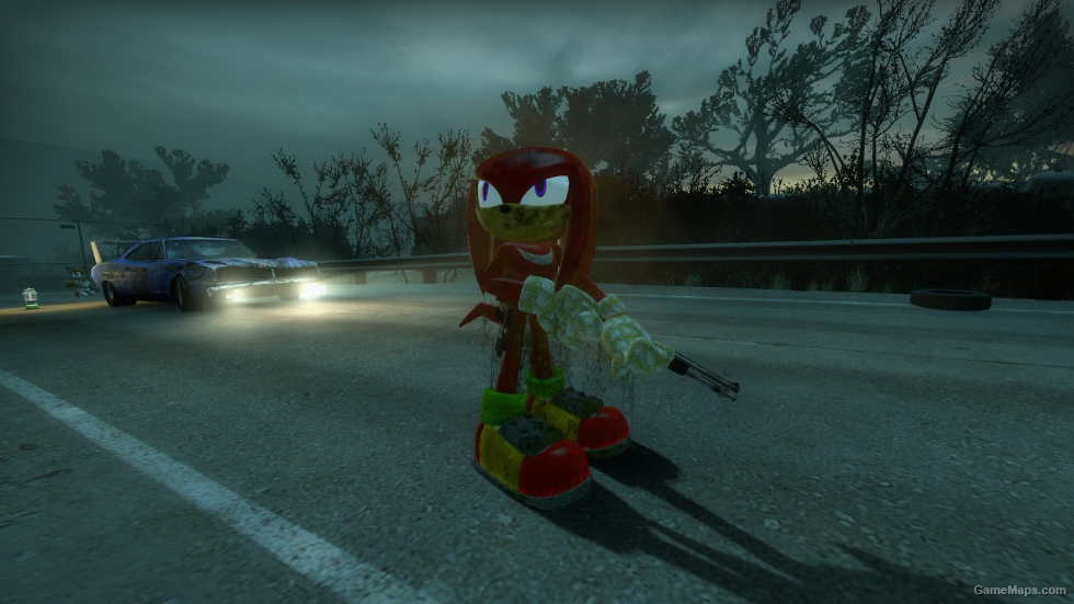 Knuckles the Echidna Survivor (Coach) [REMAKE]