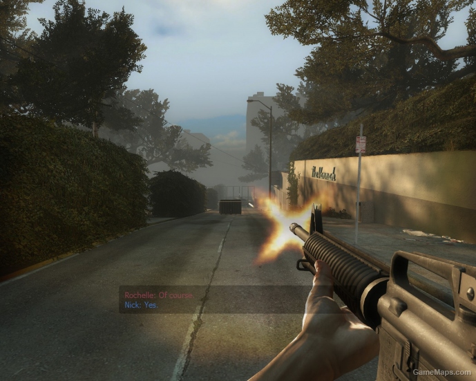 L4D1 Animations - Rifle (V1) (Read desc)