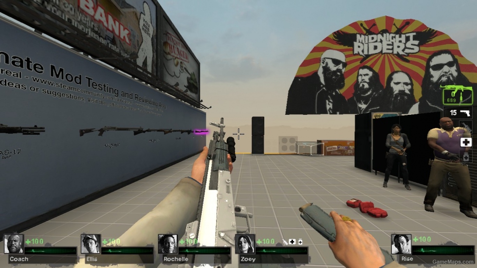 L4D2 Survivors: AK12