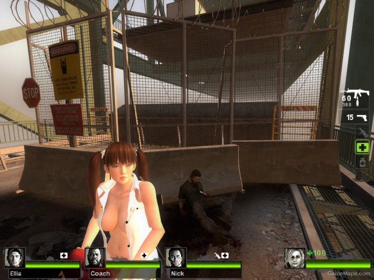 Leifang from Dead or Alive 5 (Rochelle)
