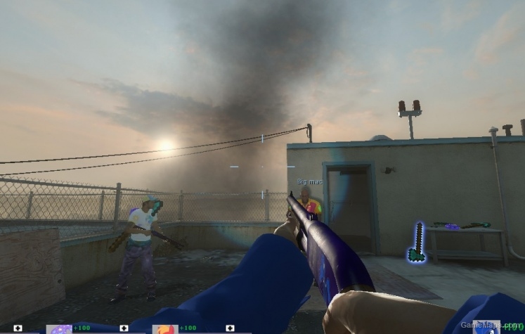 Luna Wood Shotgun