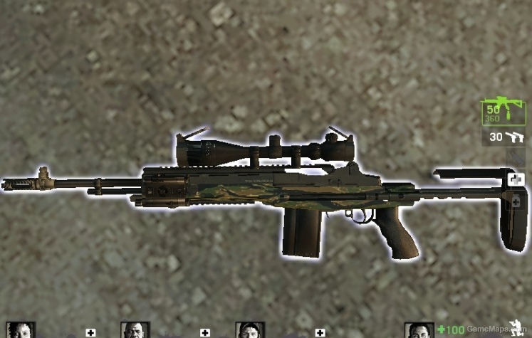 M-14 EBR Camouflage