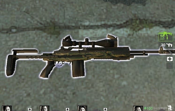 M-14 EBR Camouflage