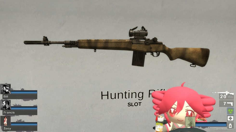 M14 Black Hawk Down (Hunting Rifle)