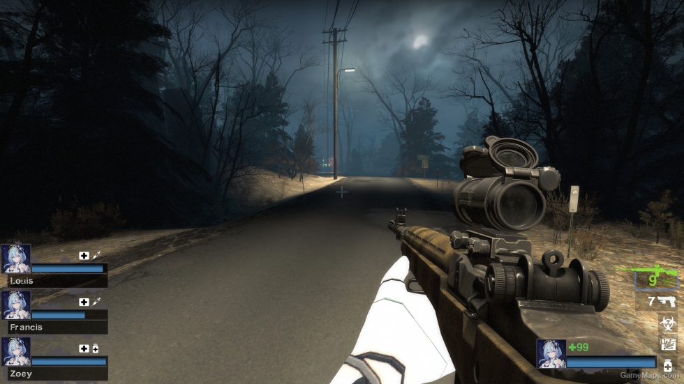 M14 Black Hawk Down (Hunting Rifle)