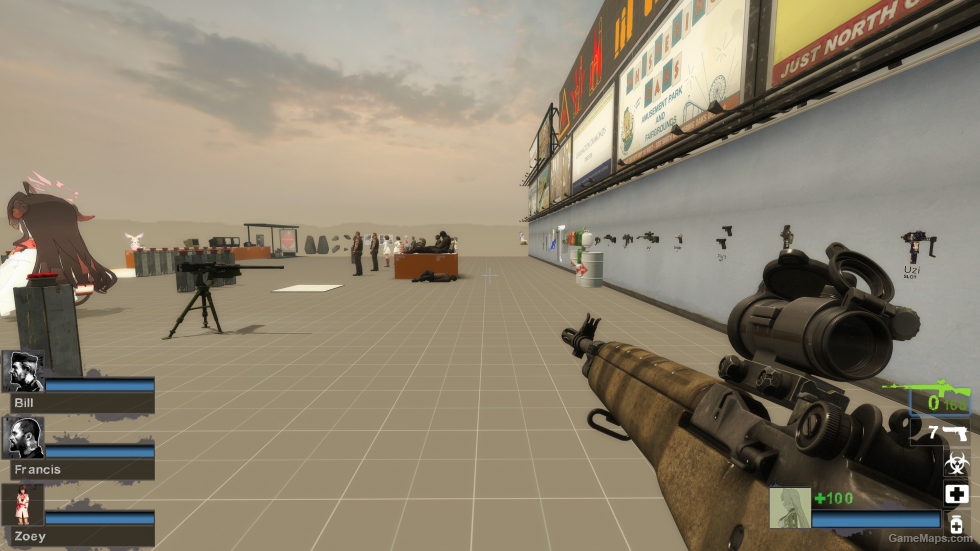 M14 Black Hawk Down (Hunting Rifle)