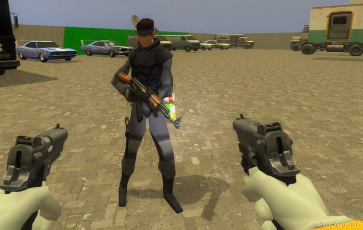 MGS1 Snake