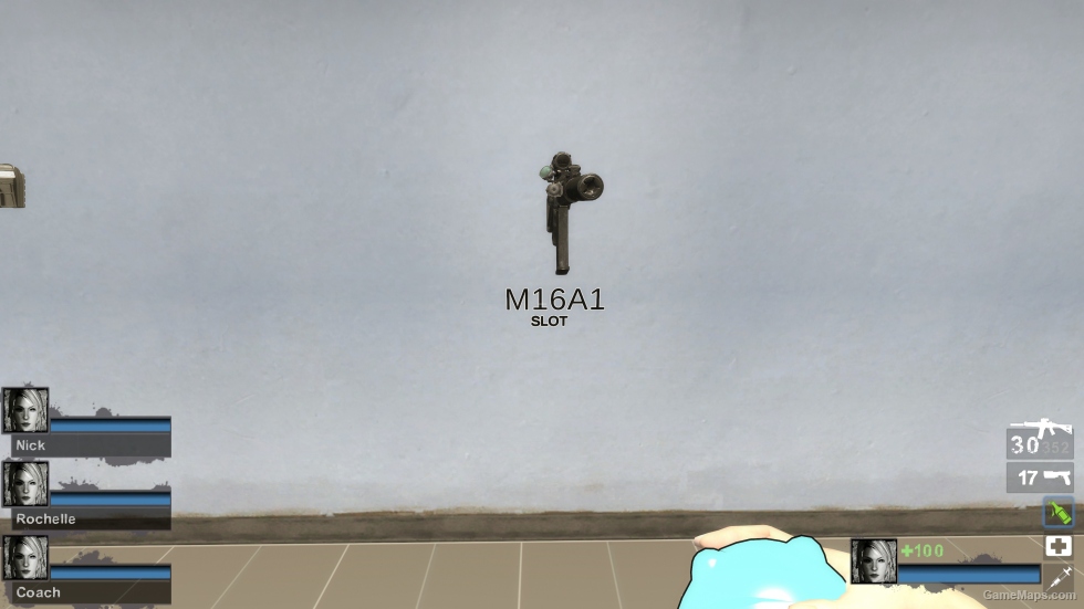 MW19: Grau 5.56 SD (M16)