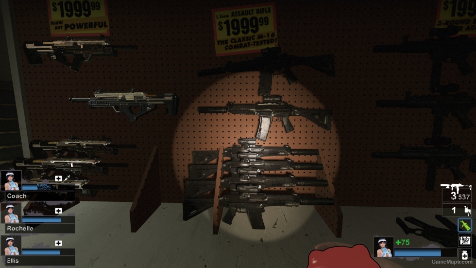 MW19: Grau 5.56 SD (M16)
