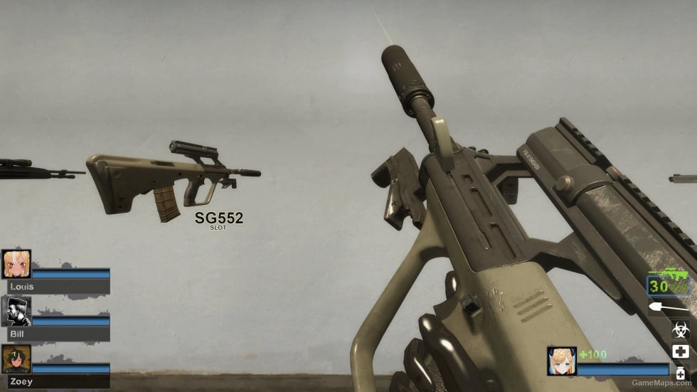 MW19 AUG SD (SG552) (request)
