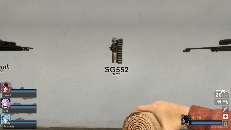 MW19 FAL1 (sg552) [request]