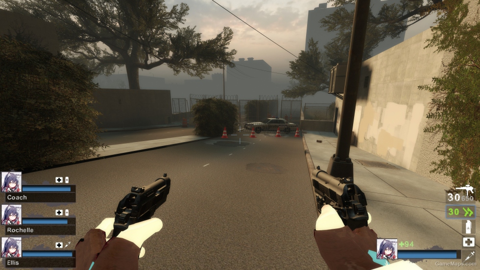 MW2019: Renetti (Dual pistols) [request]