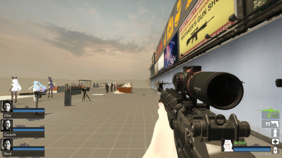 MW22 EBR-14 [Hunting Rifle] v2