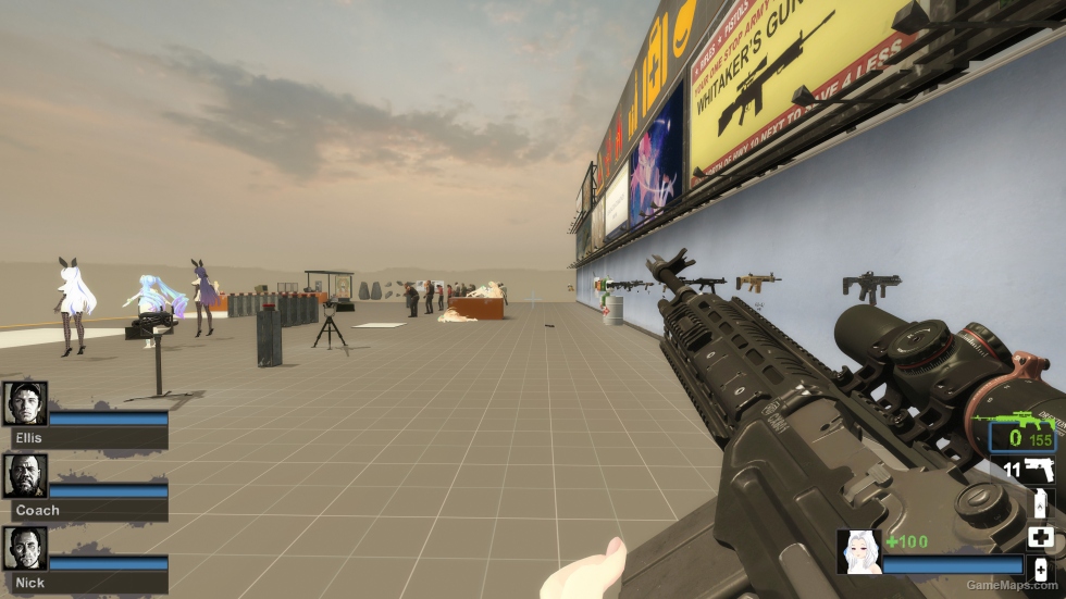 MW22 EBR-14 [Hunting Rifle] v2