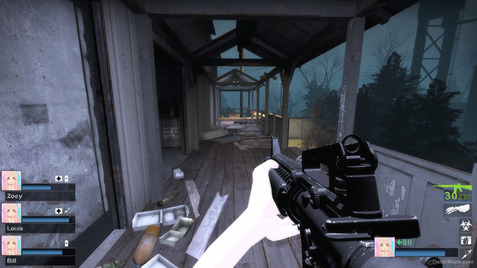 MW22 M16 (M16A2) v3