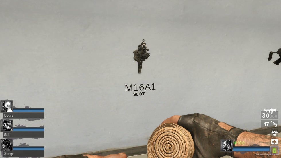 MW22 VHS-2 (M16)