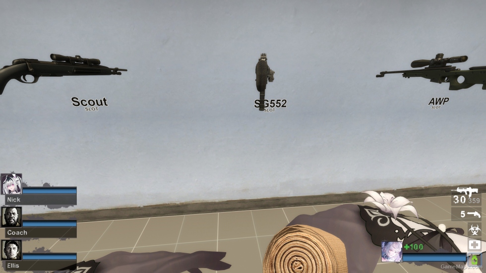 MW22 VHS-2 (SG552) (request)