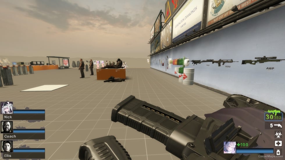MW22 VHS-2 (SG552) (request)